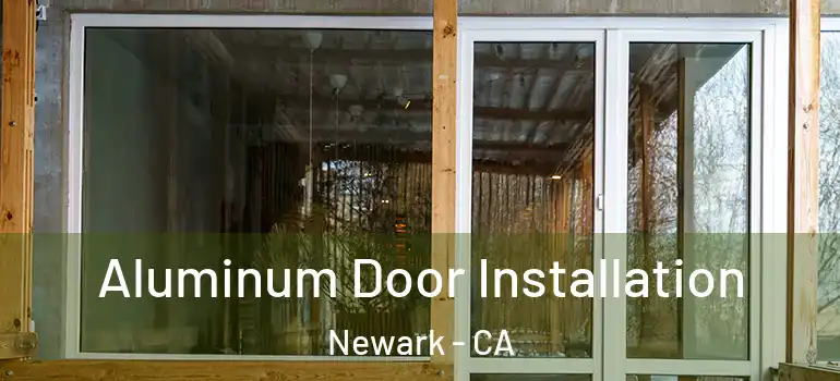  Aluminum Door Installation Newark - CA