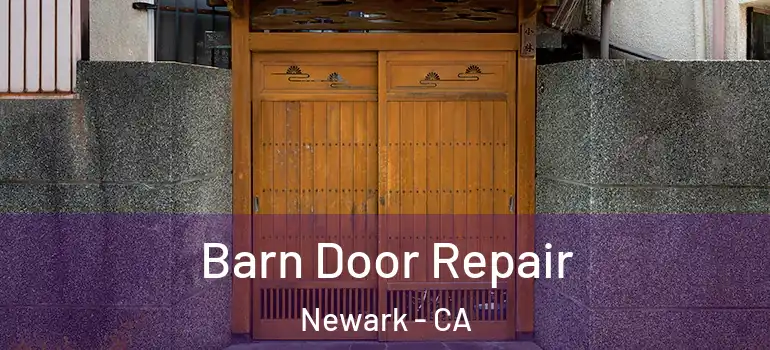  Barn Door Repair Newark - CA