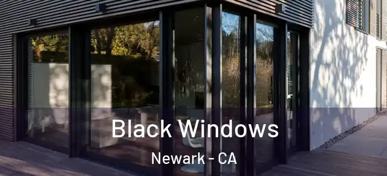  Black Windows Newark - CA
