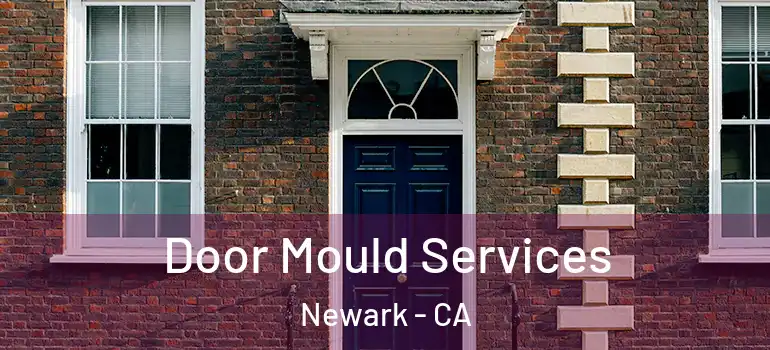  Door Mould Services Newark - CA