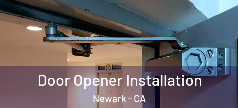  Door Opener Installation Newark - CA