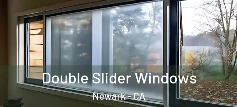  Double Slider Windows Newark - CA