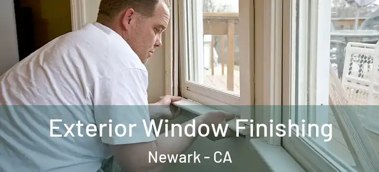  Exterior Window Finishing Newark - CA