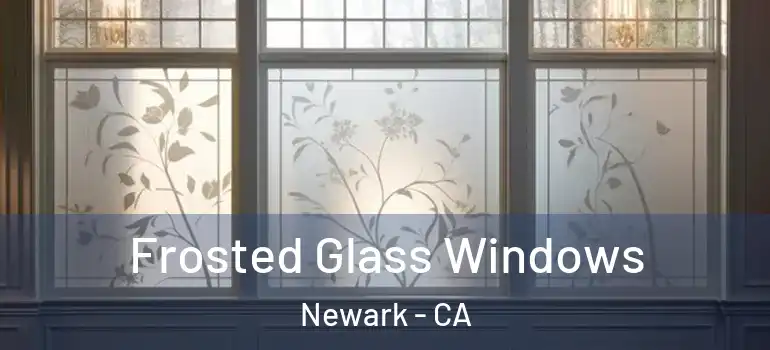  Frosted Glass Windows Newark - CA
