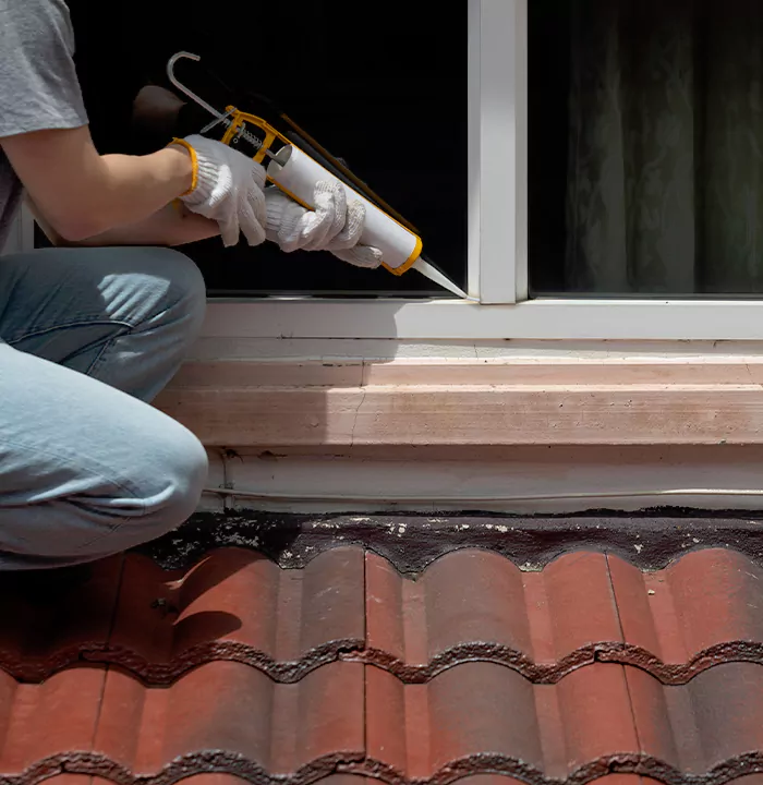 Roof Window Services in Newark, California