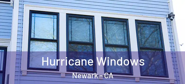  Hurricane Windows Newark - CA