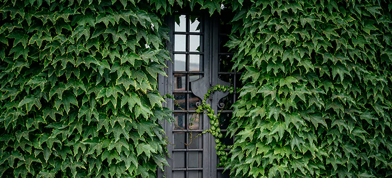 Garden Gate Repair in Newark, CA