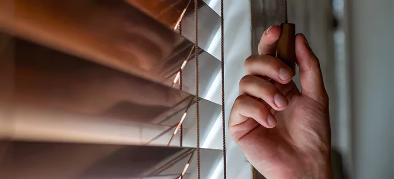 Double Roller Blinds in Newark, CA