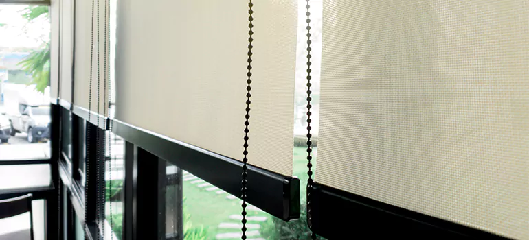 Blackout Window Shades in Newark, CA