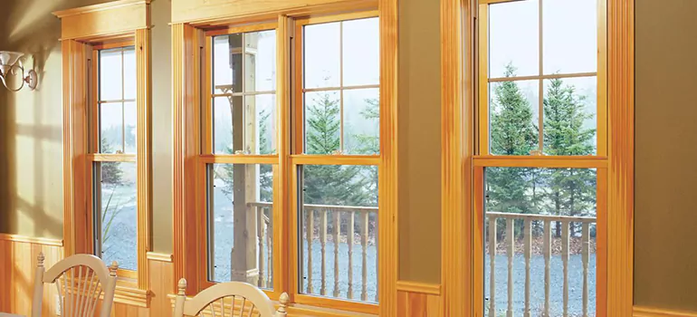 Government Incentives For Replacement Windows in Newark, CA