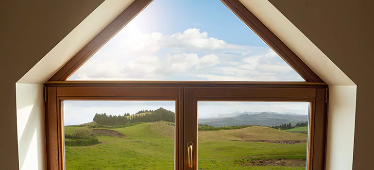 Trapezoid Window Maintenance in Newark, CA