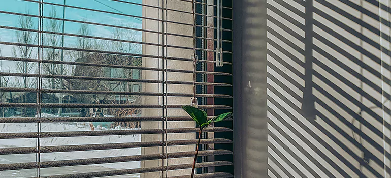 Commercial Window Blinds in Newark, CA