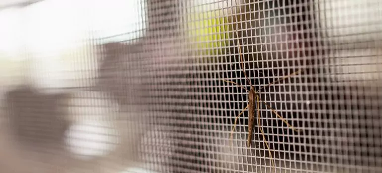 Repair Mosquito Mesh For Windows in Newark, CA
