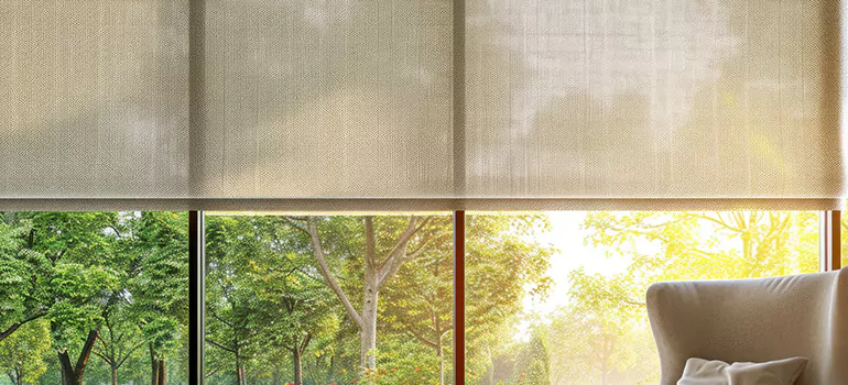 Custom Window Shades in Newark, CA