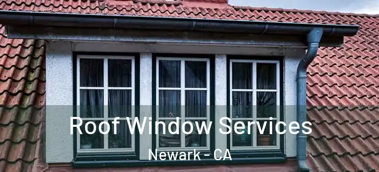  Roof Window Services Newark - CA