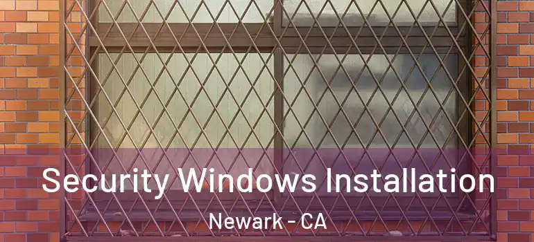  Security Windows Installation Newark - CA