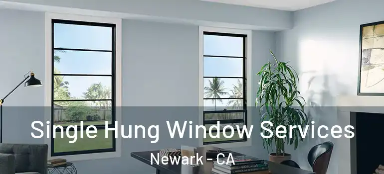  Single Hung Window Services Newark - CA
