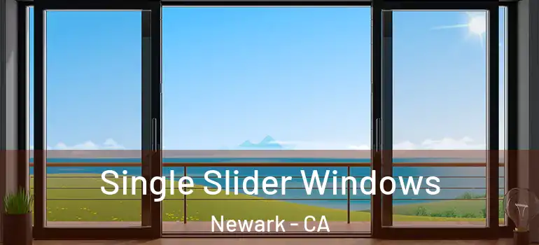  Single Slider Windows Newark - CA