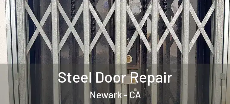  Steel Door Repair Newark - CA
