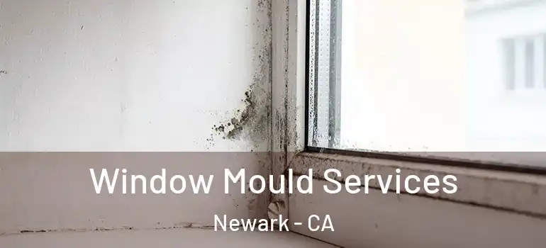  Window Mould Services Newark - CA