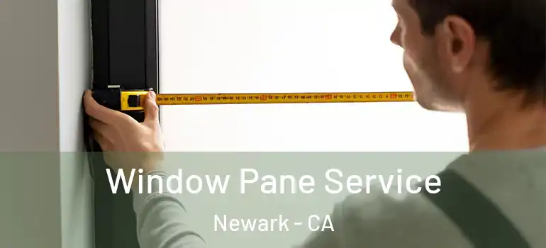  Window Pane Service Newark - CA