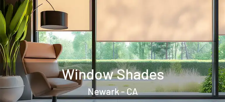  Window Shades Newark - CA
