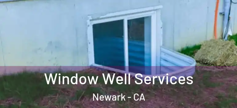  Window Well Services Newark - CA